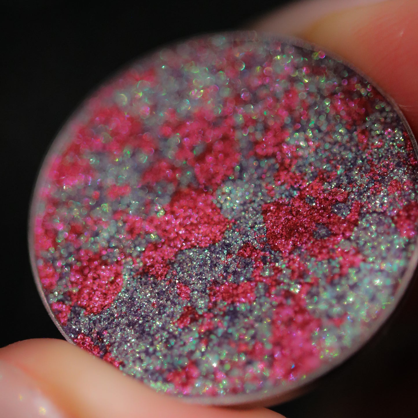 Forest Embers